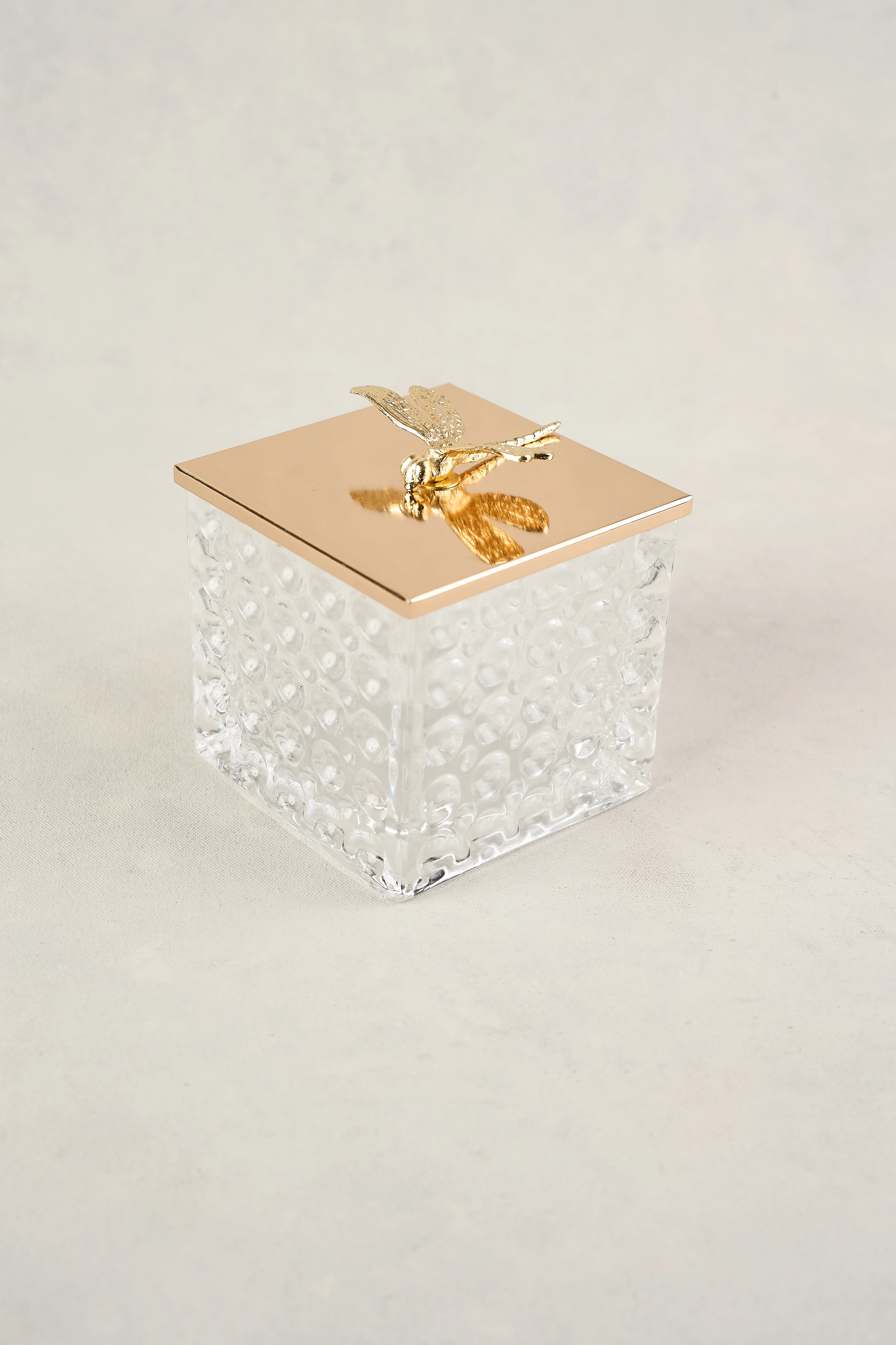 Dragonfly Glass Jar - Skullriy