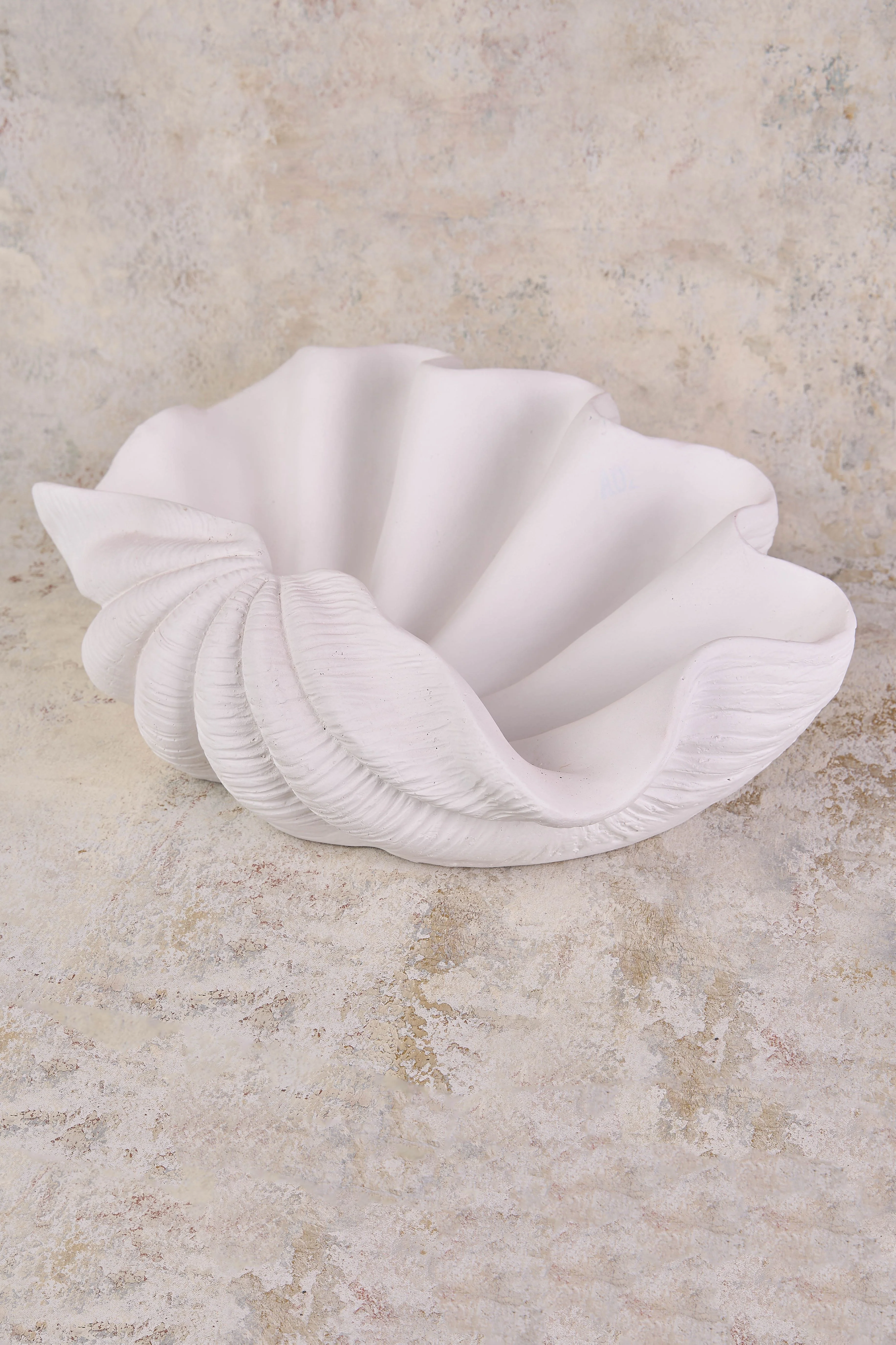 Clam Shell Resin Bowl - Skullriy