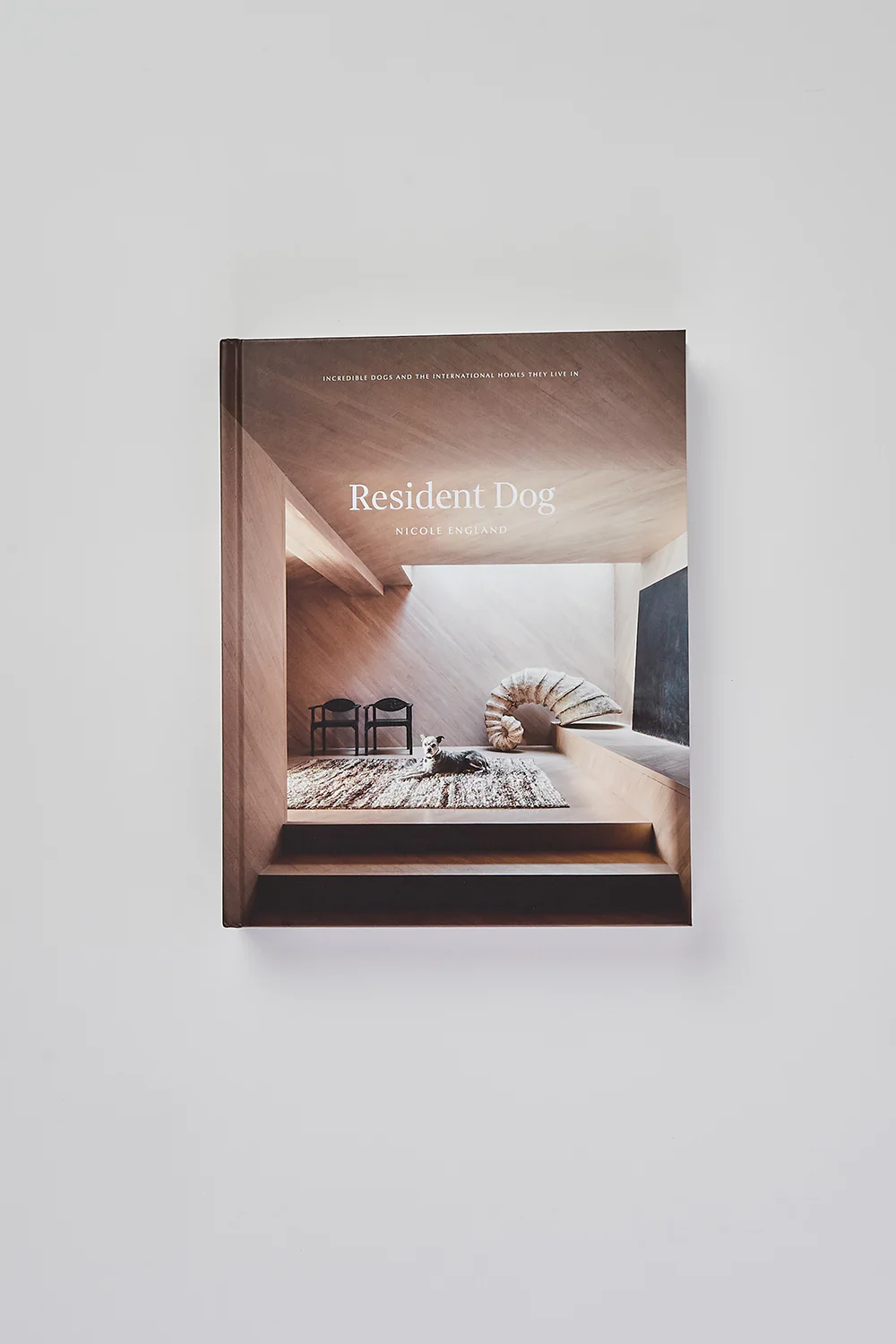 Resident Dog Book - Skullriy