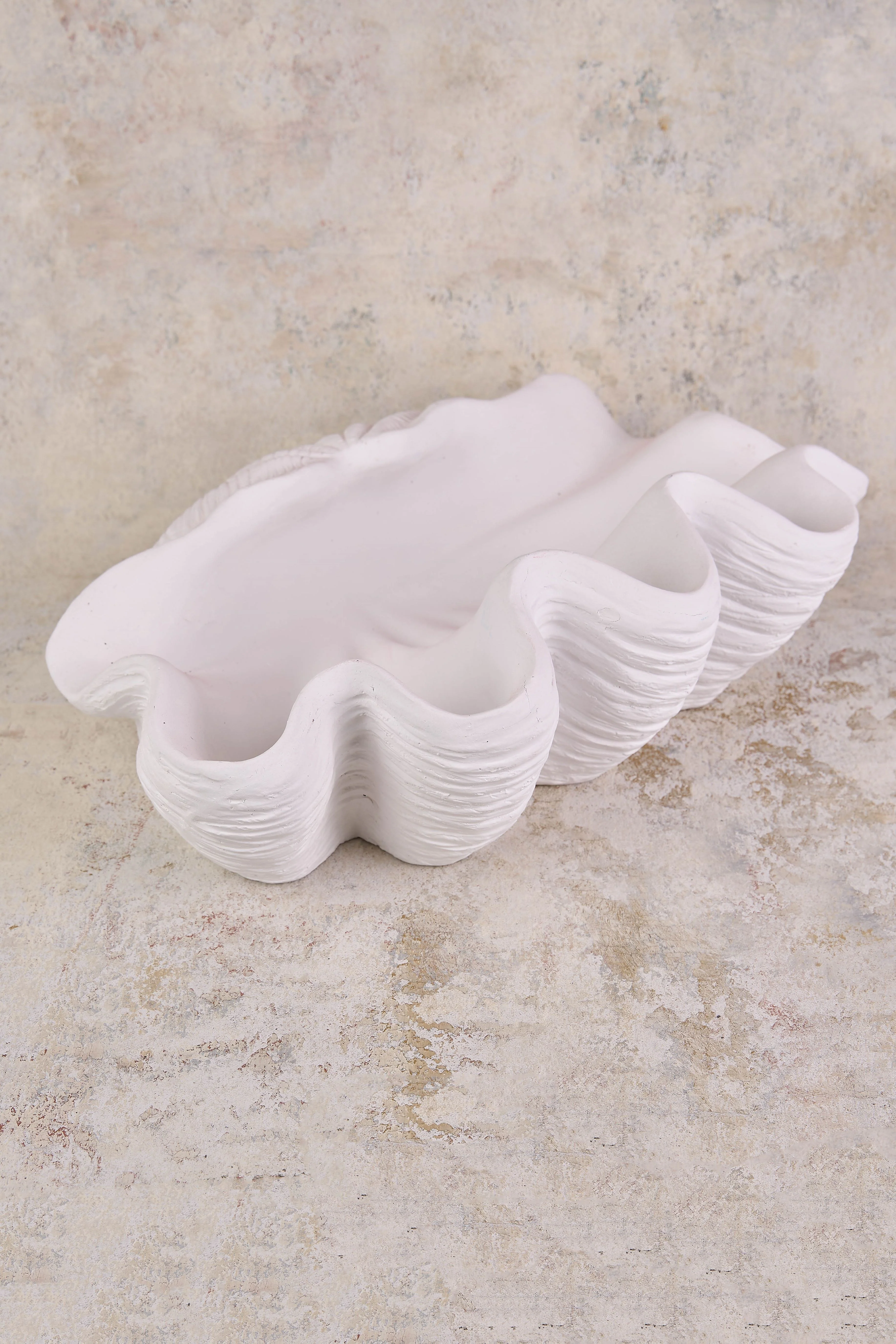 Clam Shell Resin Bowl - Skullriy