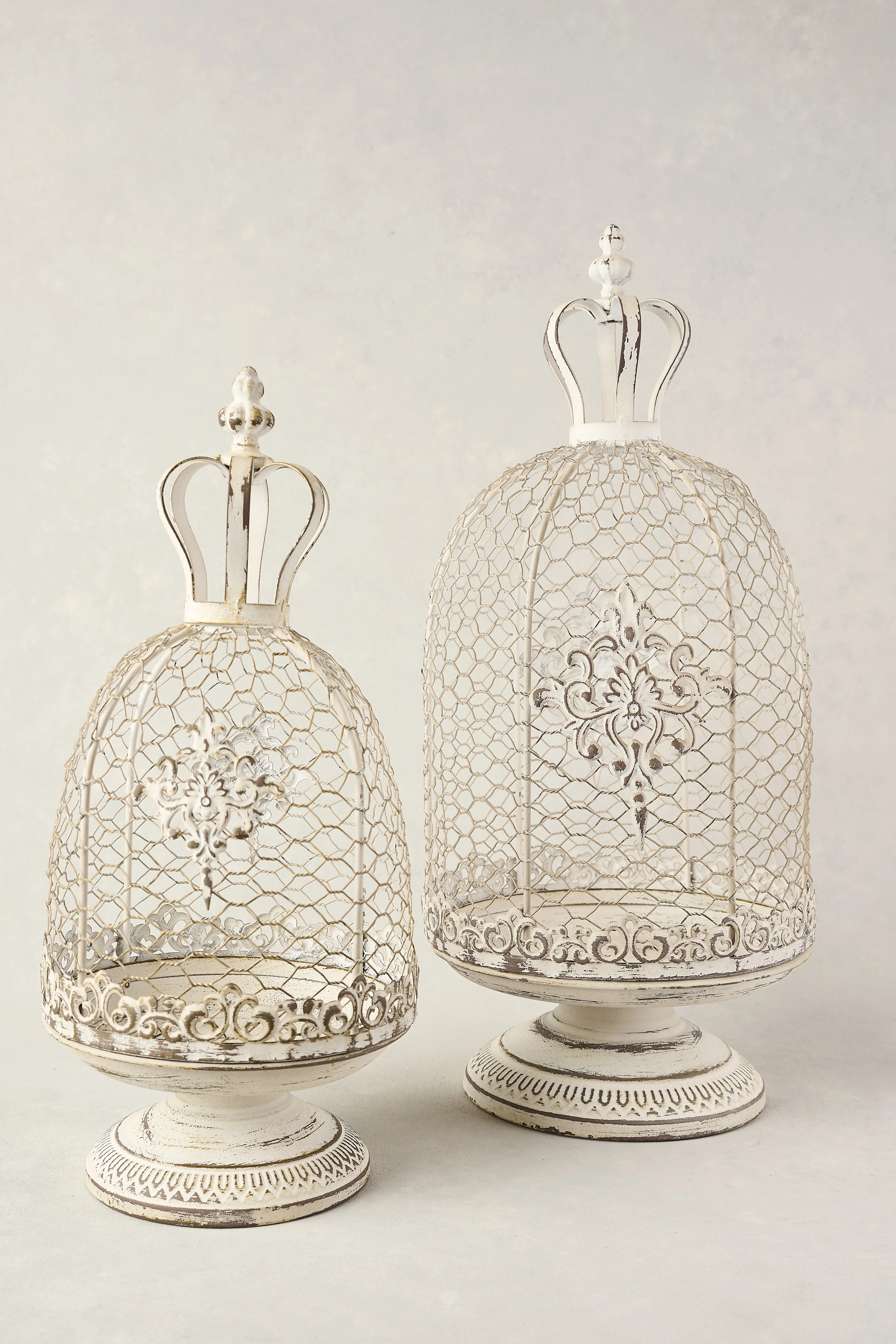 Regal Cloche Set of 2 - Skullriy