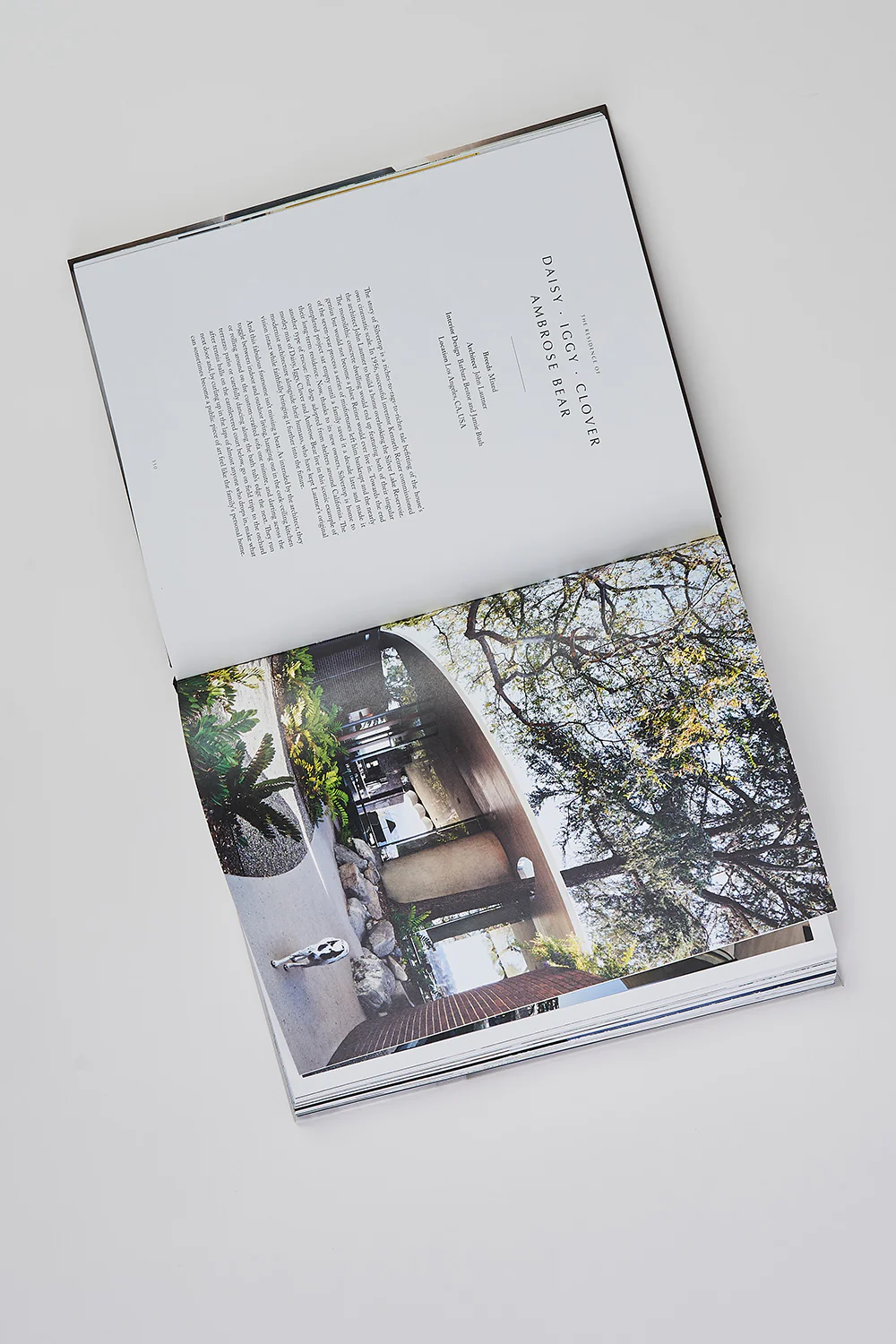 Resident Dog Book - Skullriy