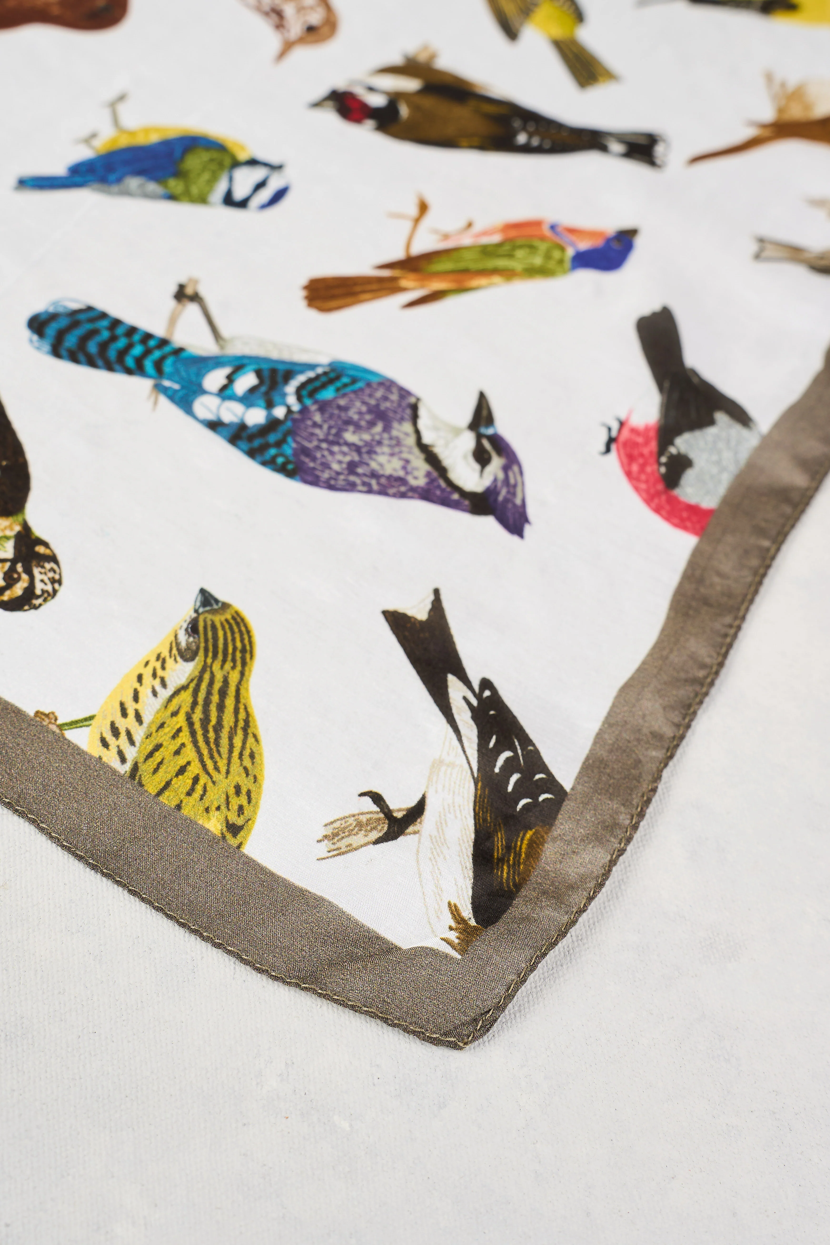 Multi Bird Print Silk Scarf - Multi - Skullriy
