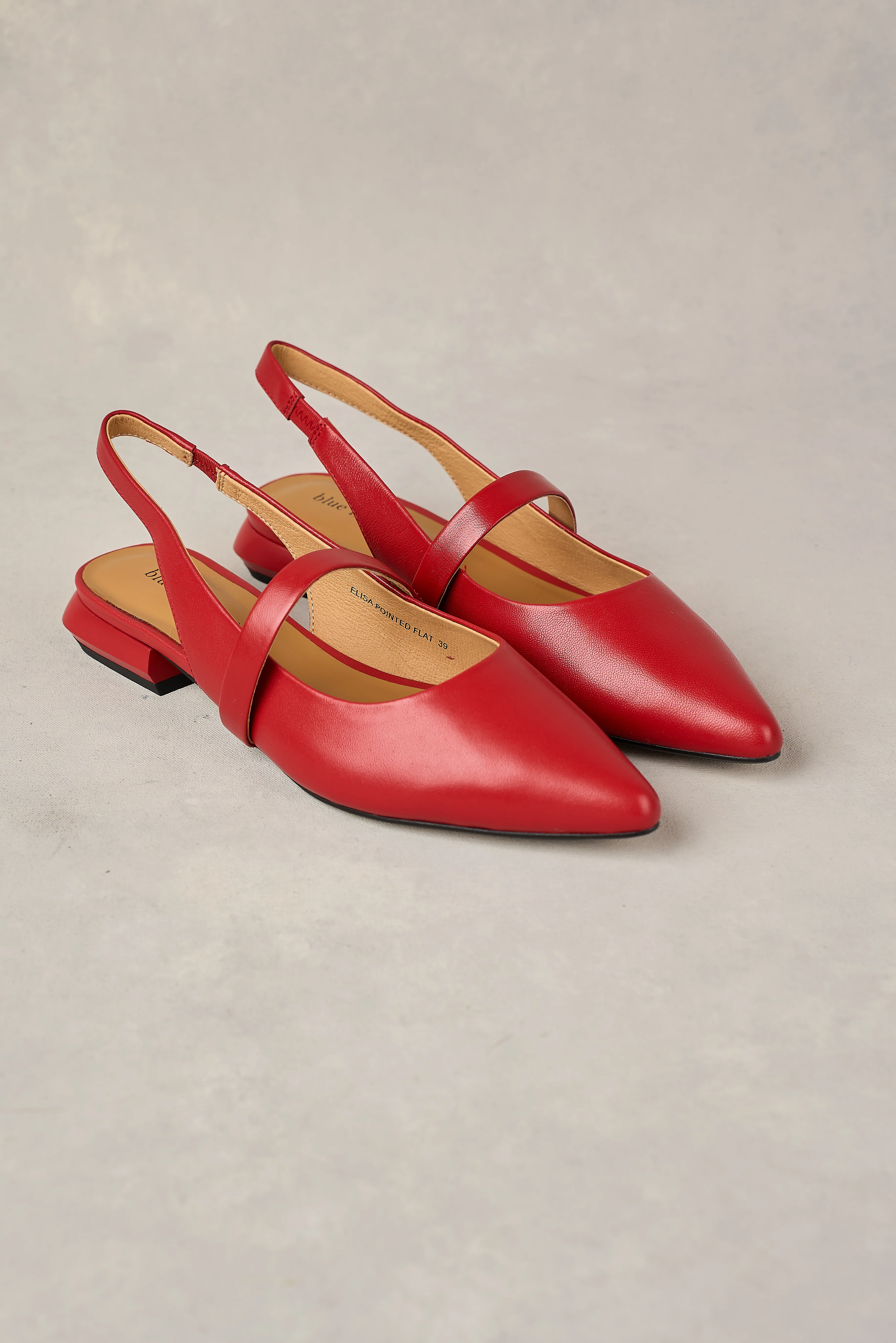 Elisa Pointed Flat - Rouge - Skullriy
