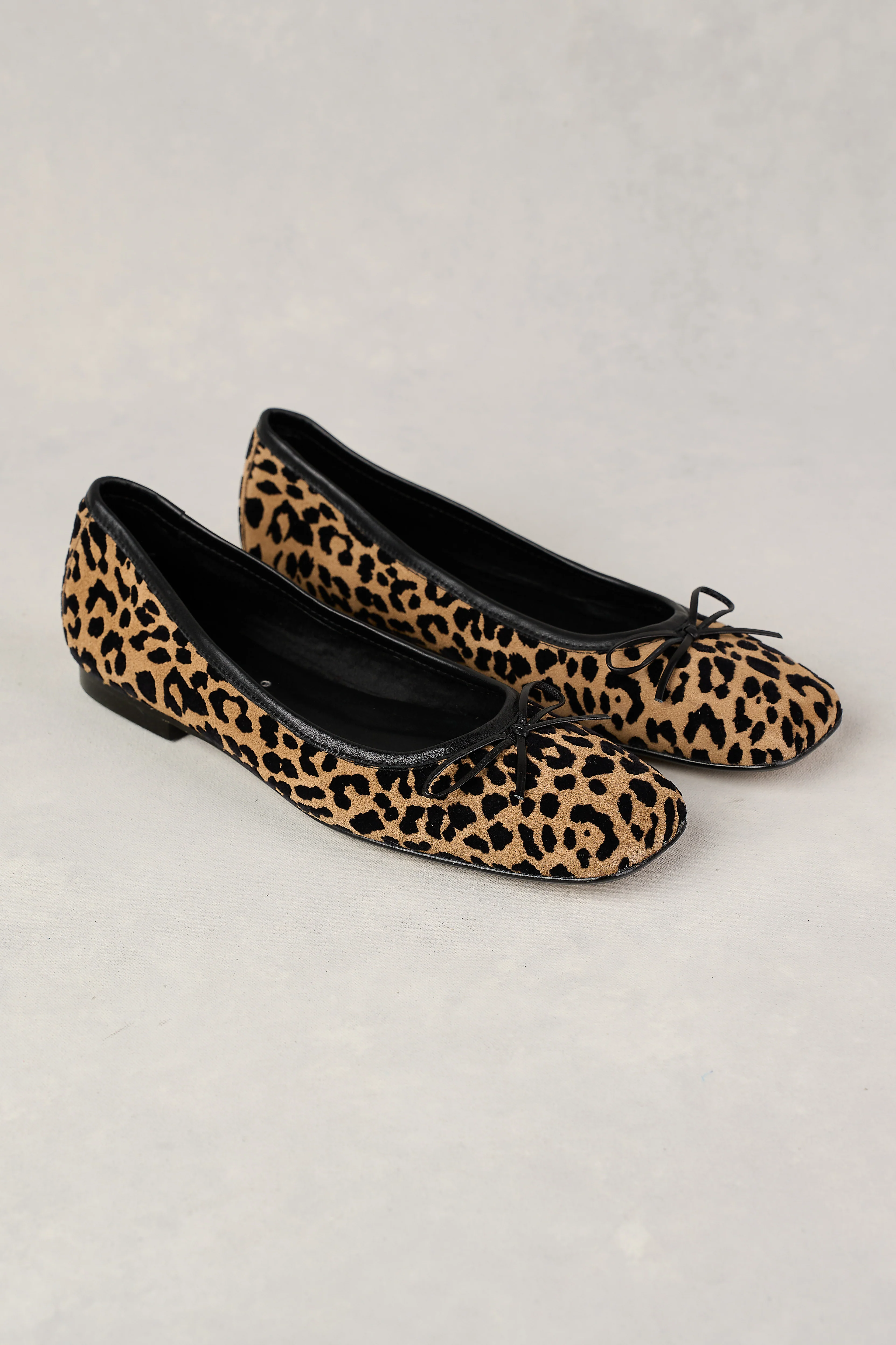 Leo Ballet Flat - Leopard Multi - Skullriy