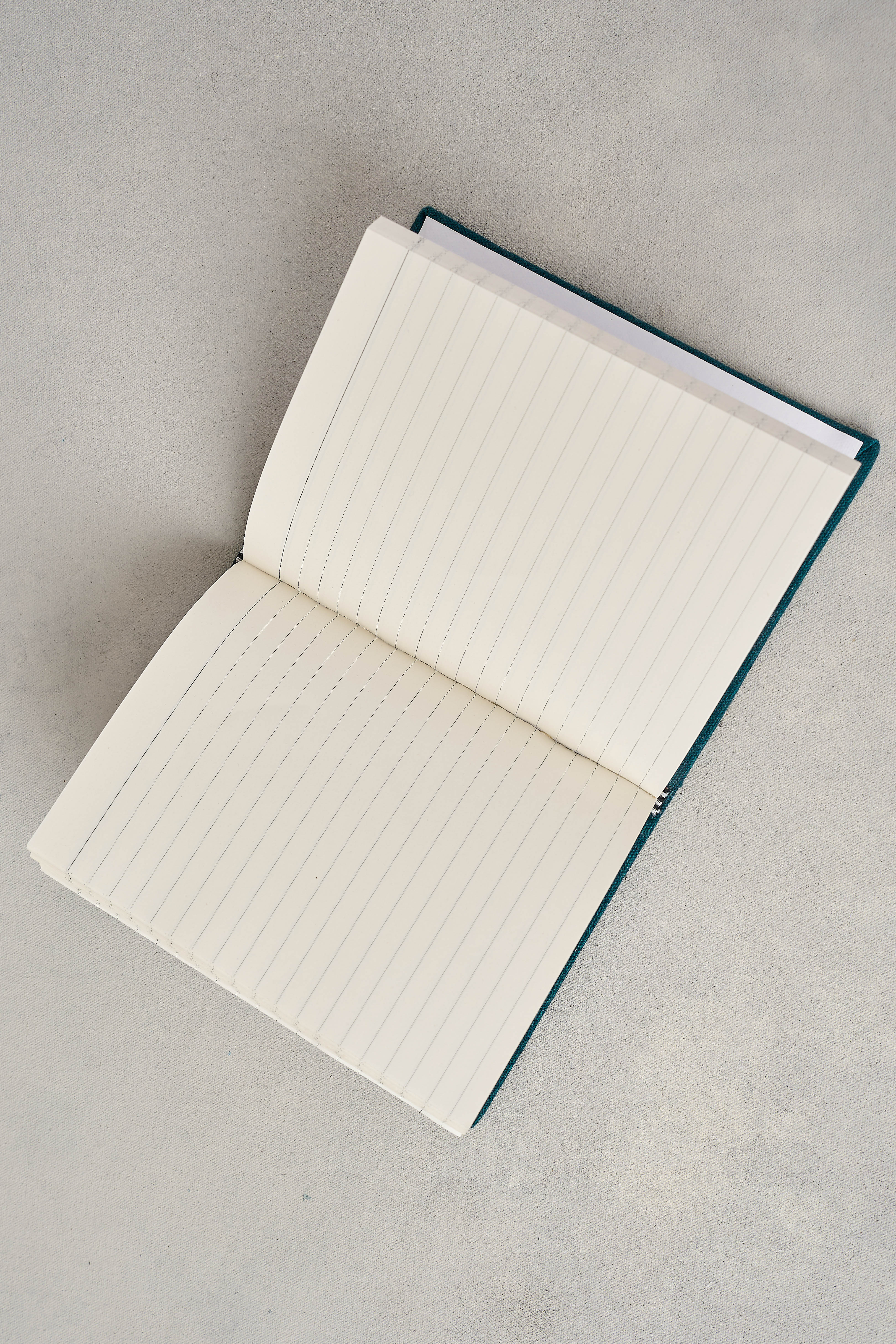 Nathalie L  t   Printed Notebook - Skullriy