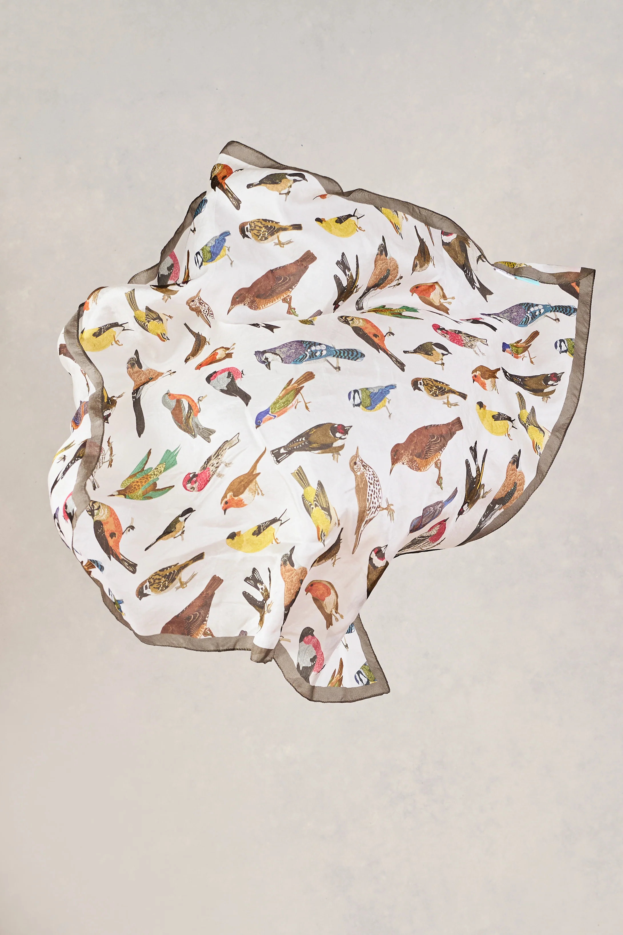 Multi Bird Print Silk Scarf - Multi - Skullriy