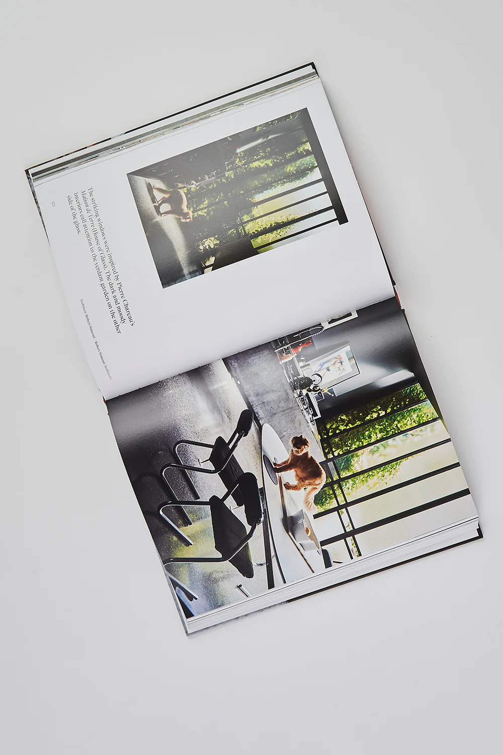 Where They Purr Book - Skullriy