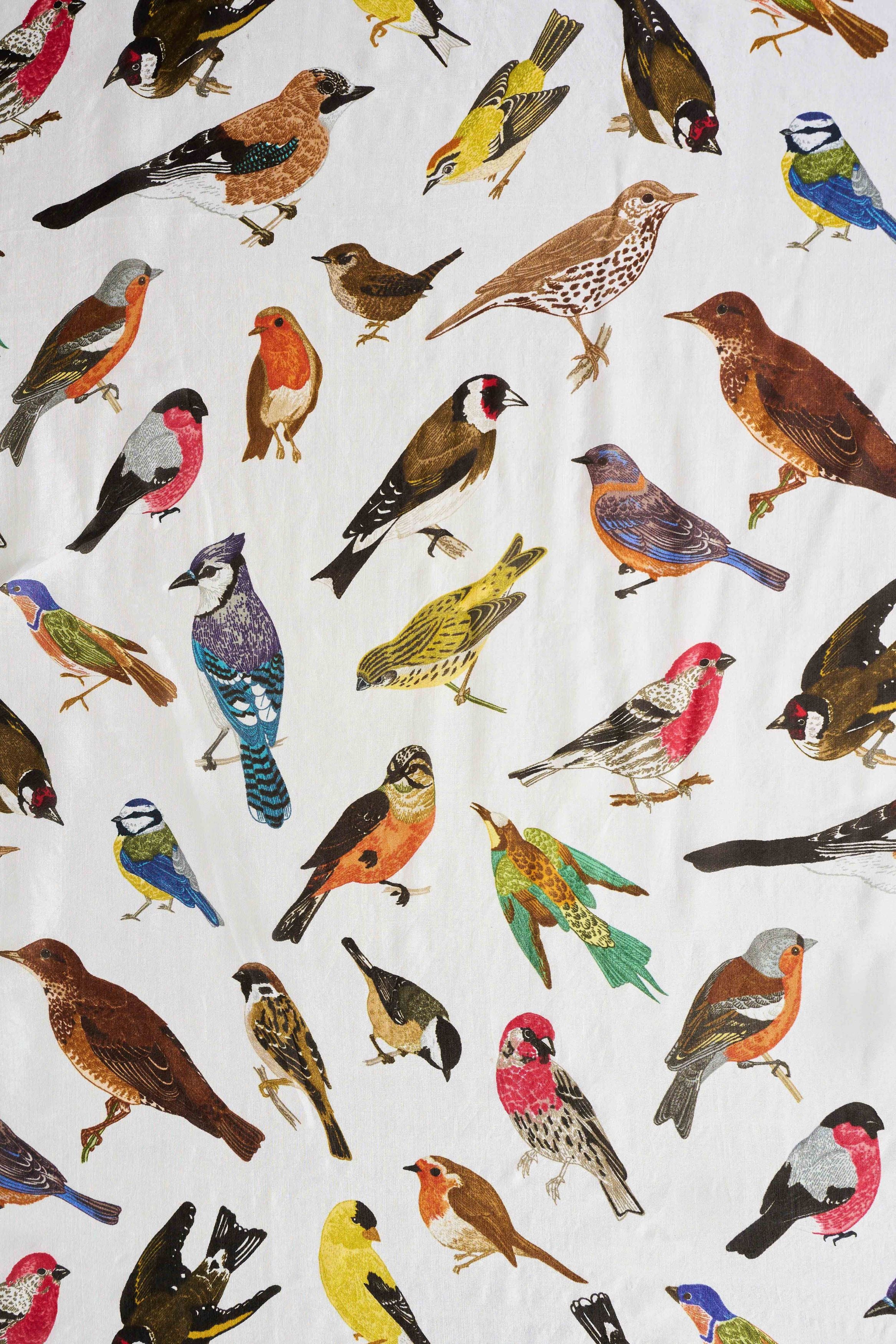 Multi Bird Print Silk Scarf - Multi - Skullriy